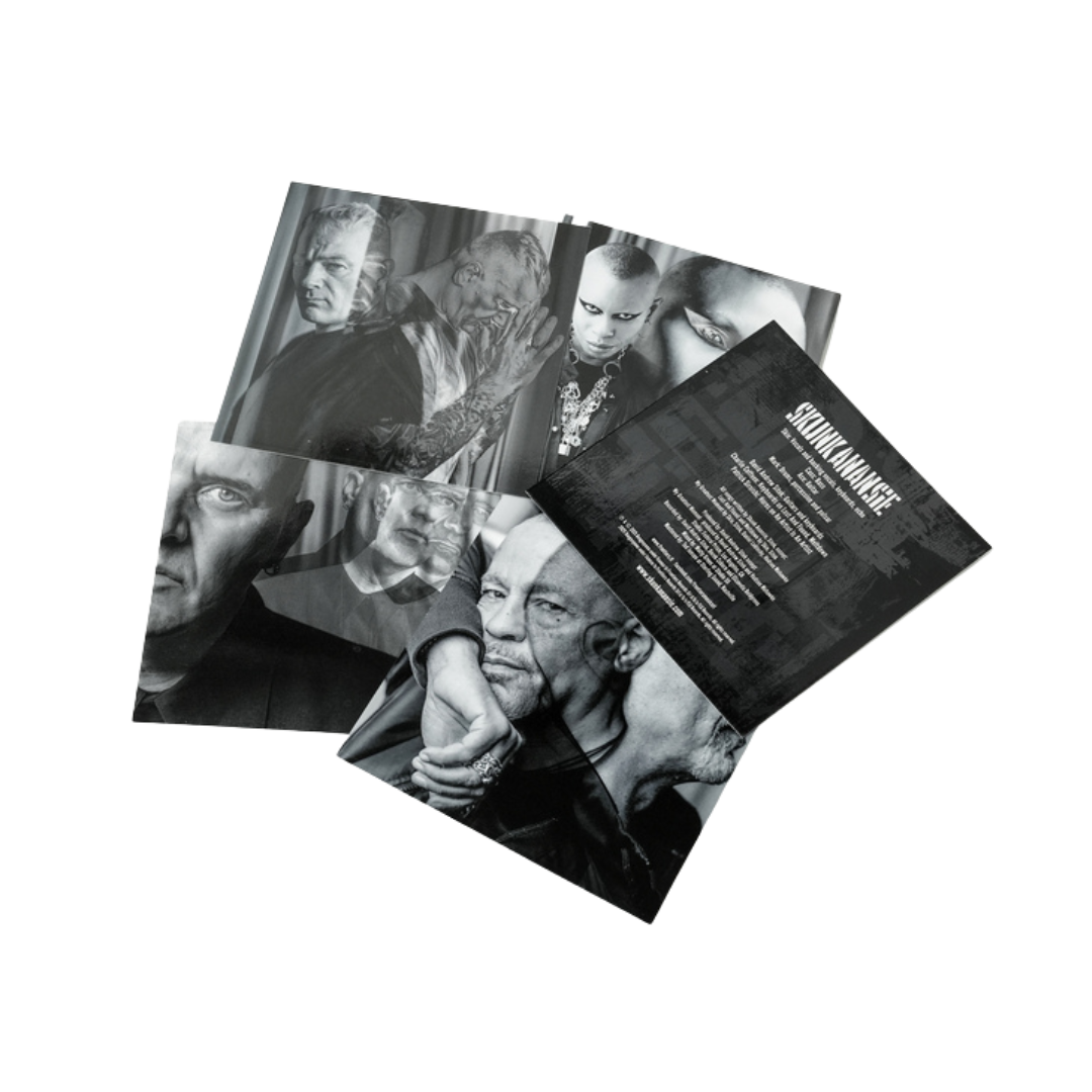 Skunk Anansie "The Painful Truth" KiT Album