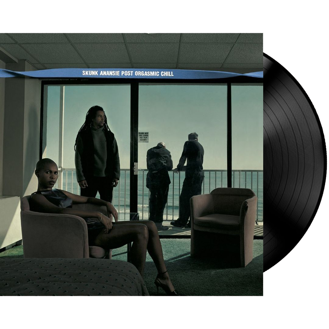 Post Orgasmic Chill (LP)