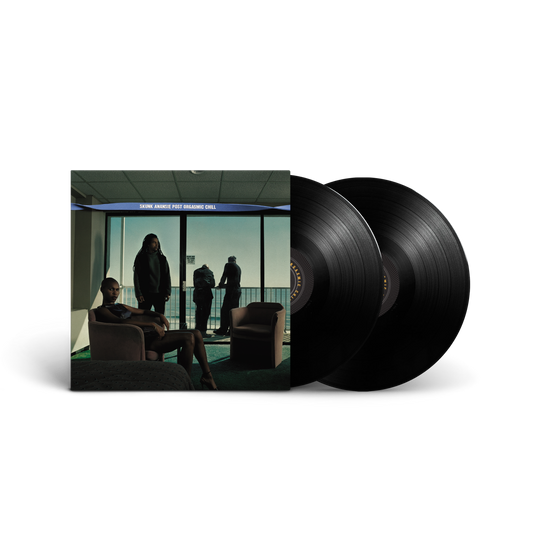 Post Orgasmic Chill 25th Anniversary Edition - Black 2LP