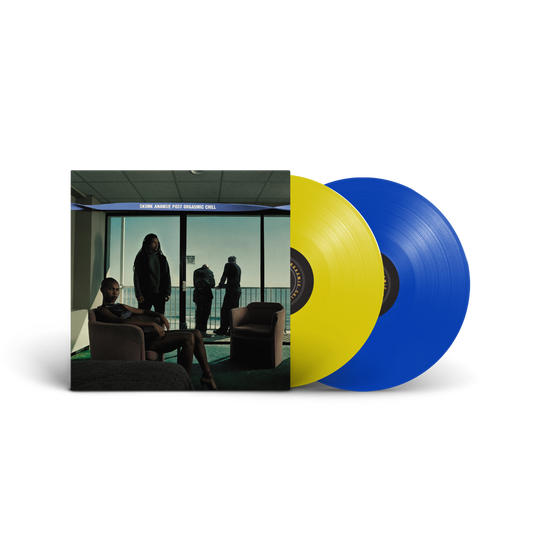 Post Orgasmic Chill 25th Anniversary Edition - 2LP